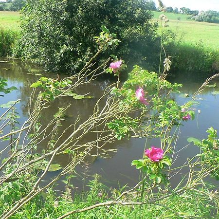 Gite De L'Aure Trevieres Esterno foto