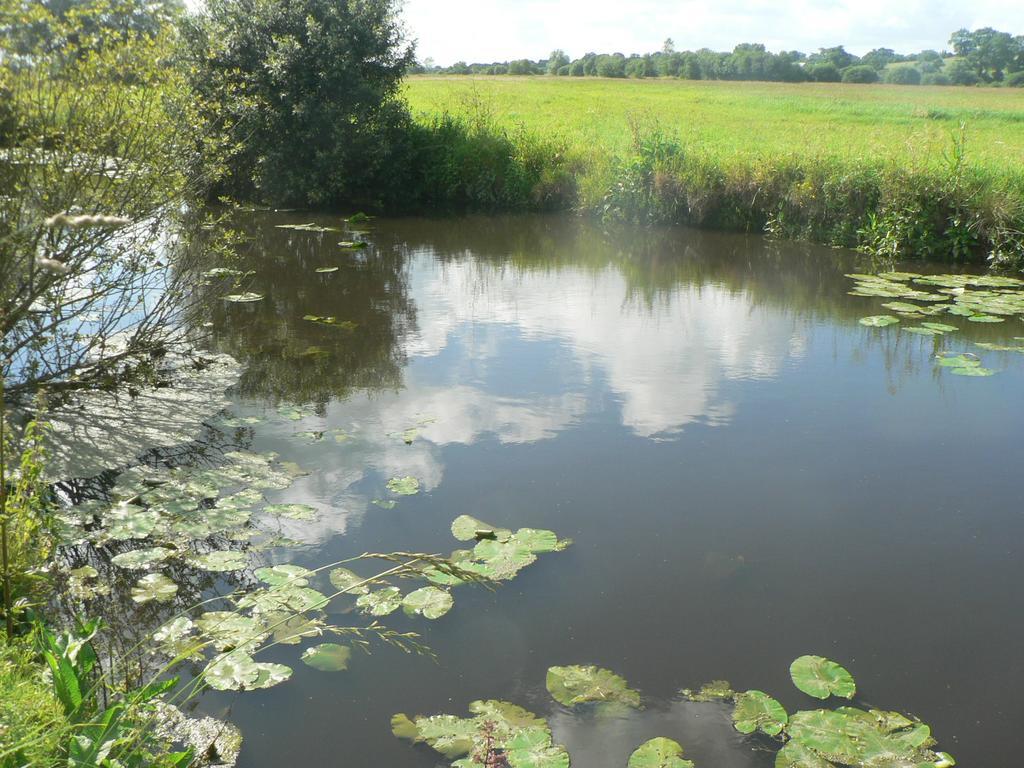 Gite De L'Aure Trevieres Esterno foto