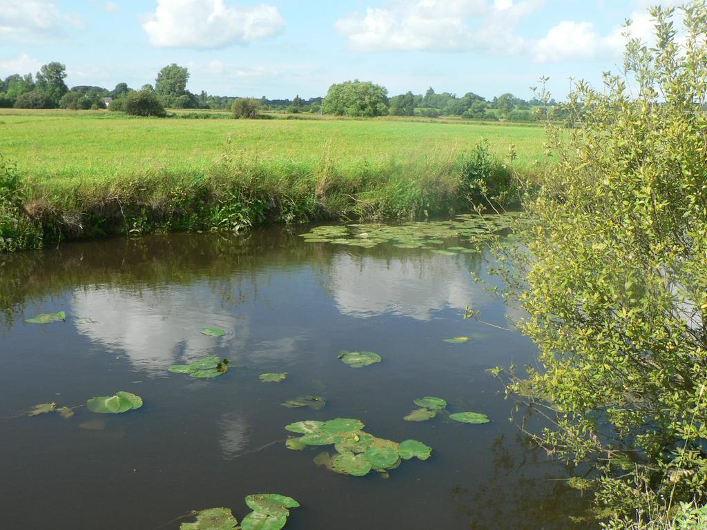 Gite De L'Aure Trevieres Esterno foto